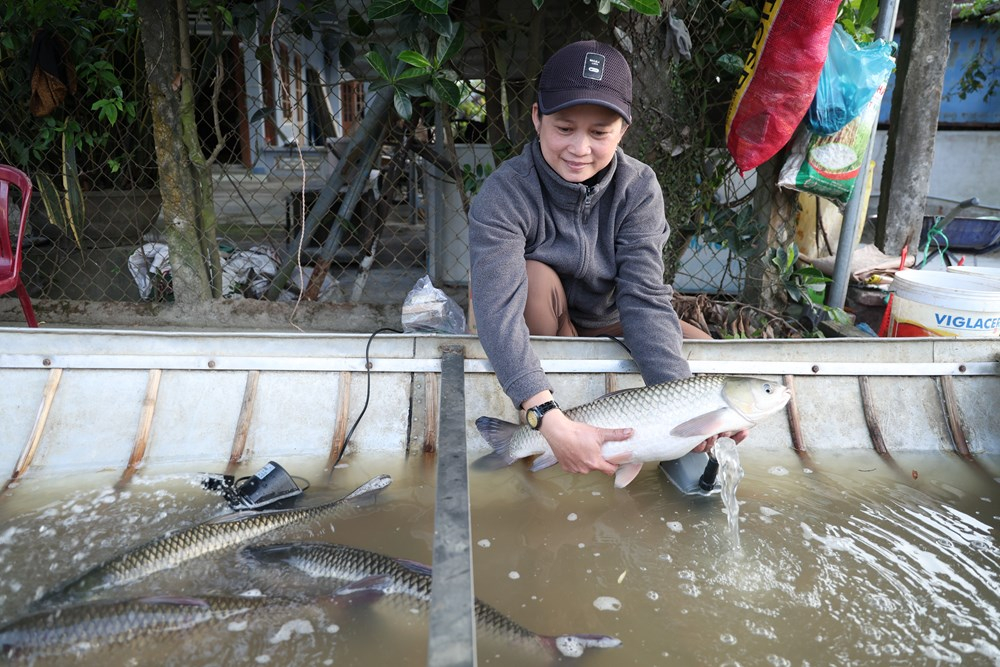Người nuôi phấn khởi vì sức mua tăng mạnh.