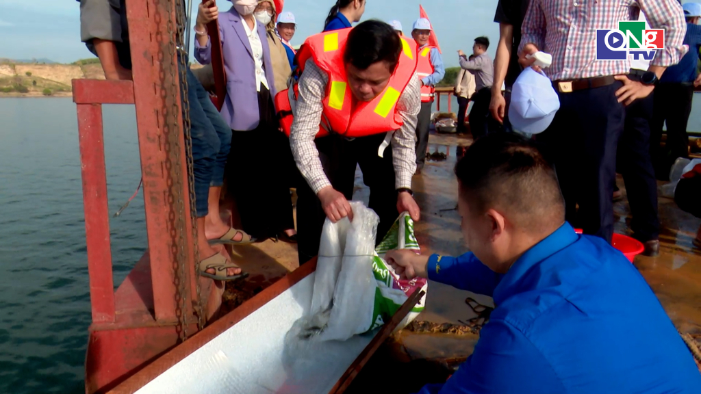 Thả cá giống, tái tạo nguồn lợi thủy sản lòng hồ Thủy điện Ia Ly.