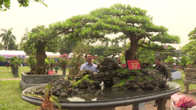 Sinh vật cảnh, sắc đẹp ng&agrave;y xu&acirc;n