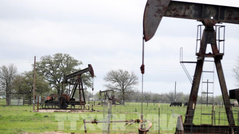 Gi&aacute; dầu lao dốc sau t&iacute;n hiệu Mỹ - Iran đối thoại