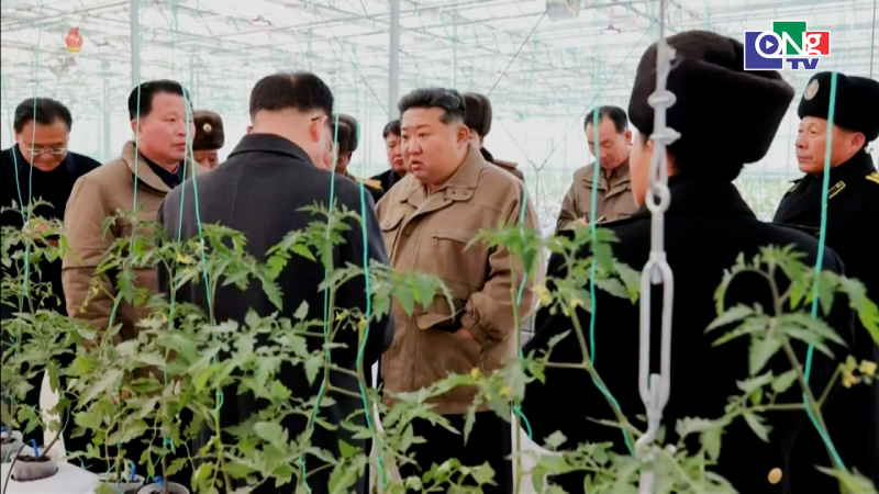 Triều Ti&ecirc;n kh&aacute;nh th&agrave;nh trang trại nh&agrave; k&iacute;nh quy m&ocirc; lớn 