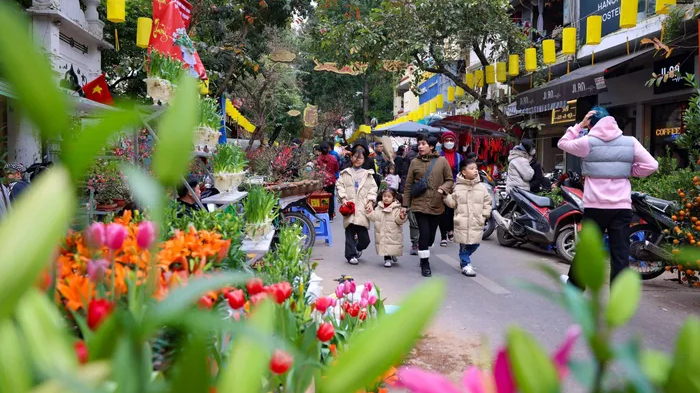 Thời tiết Tết B&iacute;nh Ngọ 2026: Miền Bắc, miền Trung ấm &aacute;p, &iacute;t mưa