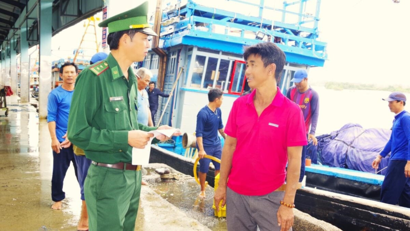 Quảng Ng&atilde;i hướng đến ph&aacute;t triển nghề c&aacute; bền vững