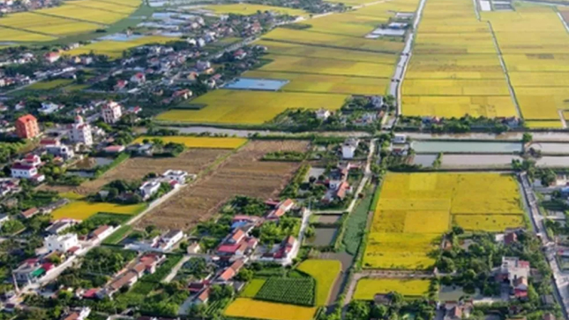 Ưu đ&atilde;i một lần khi chuyển đất n&ocirc;ng nghiệp sang đất ở 