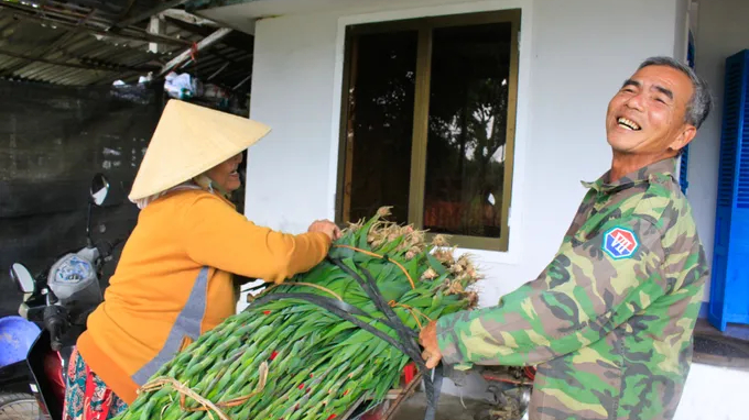 N&ocirc;ng d&acirc;n Quảng Ng&atilde;i được m&ugrave;a hoa lay ơn 