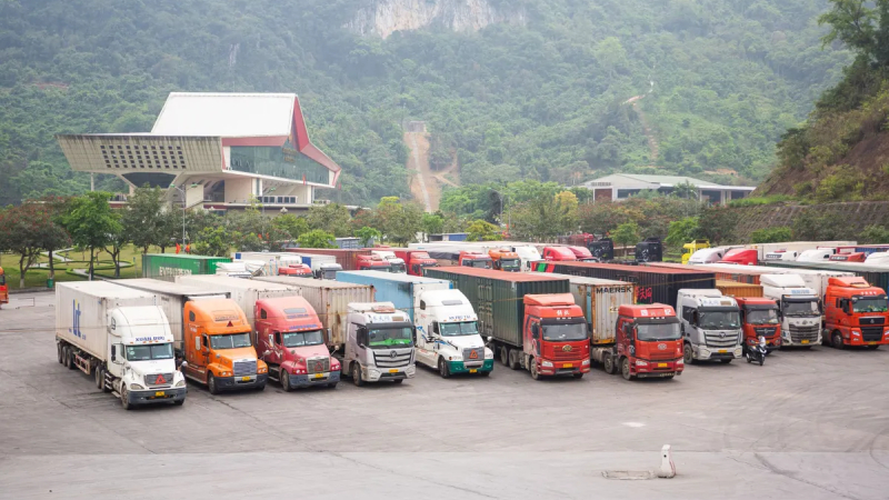 Tạm dừng &aacute;p dụng nghị định 46 về an to&agrave;n thực phẩm đến hết ng&agrave;y 15/4 