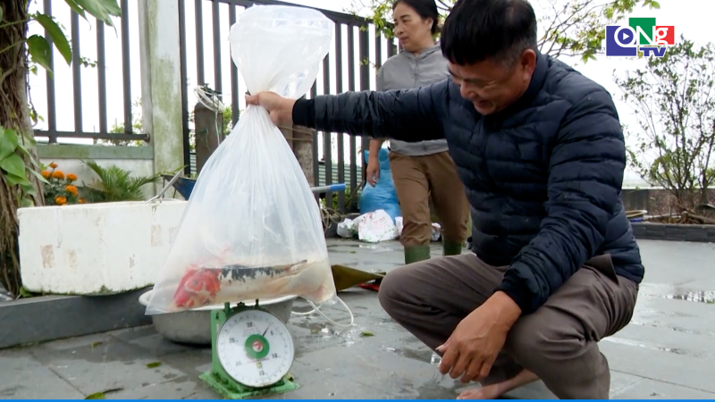  L&agrave;ng c&aacute; ch&eacute;p đỏ hối hả ng&agrave;y &ocirc;ng C&ocirc;ng, &ocirc;ng T&aacute;o