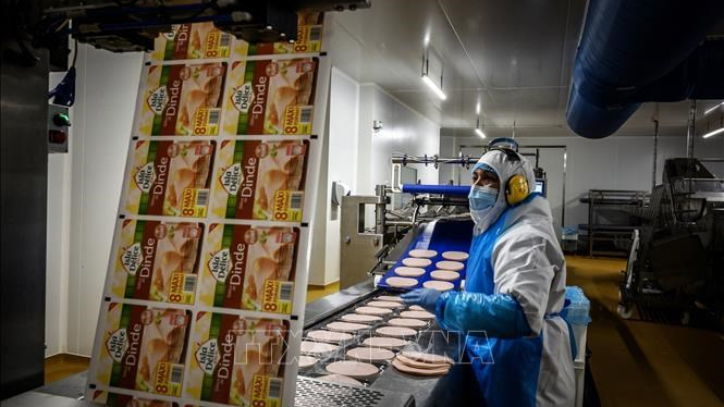 Ph&aacute;p ghi nhận kỷ lục về số doanh nghiệp th&agrave;nh lập mới