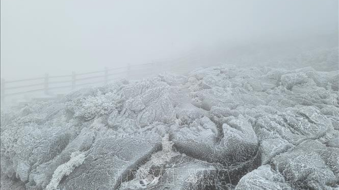 H&agrave;ng chục ngh&igrave;n h&agrave;nh kh&aacute;ch bị mắc kẹt tr&ecirc;n đảo Jeju của H&agrave;n Quốc 