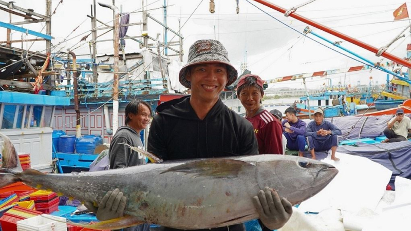 Ngư d&acirc;n được m&ugrave;a c&aacute; ngừ đại dương