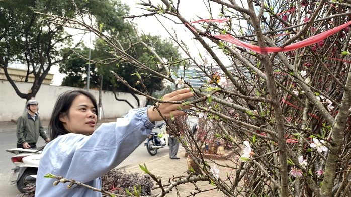 Bắc Bộ v&agrave; Bắc Trung Bộ trời r&eacute;t về đ&ecirc;m v&agrave; s&aacute;ng dịp Tết