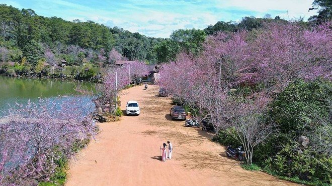 C&aacute;c điểm du lịch tại Quảng Ng&atilde;i chuẩn bị chu đ&aacute;o, phục vụ du kh&aacute;ch dịp Tết 