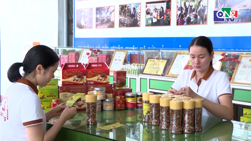 Quảng Ng&atilde;i n&acirc;ng cao năng lực doanh nghiệp vừa v&agrave; nhỏ 