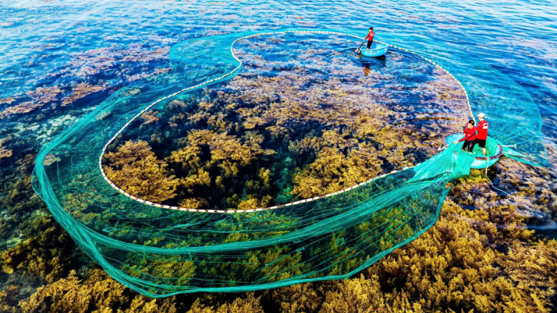 Quy Nhơn v&agrave;o Top 25 điểm đến xu hướng h&agrave;ng đầu thế giới năm 2026 