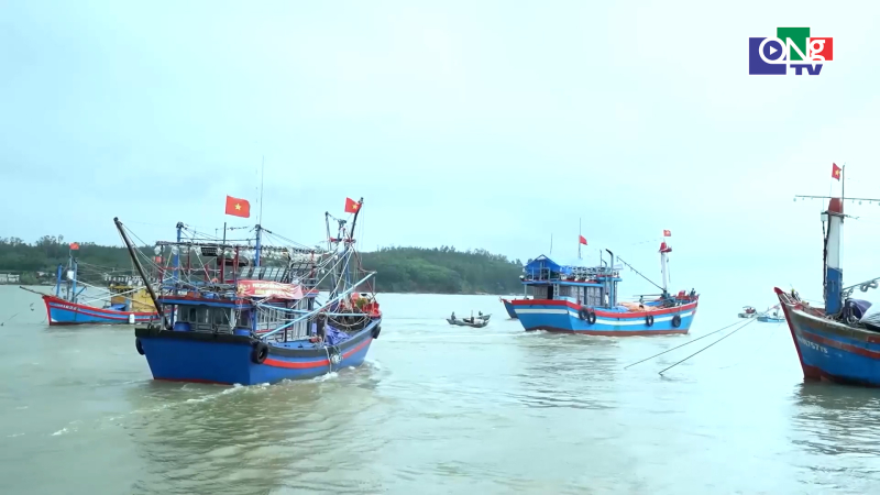 Vững tin b&aacute;m biển, hướng tới khai th&aacute;c hải sản bền vững 