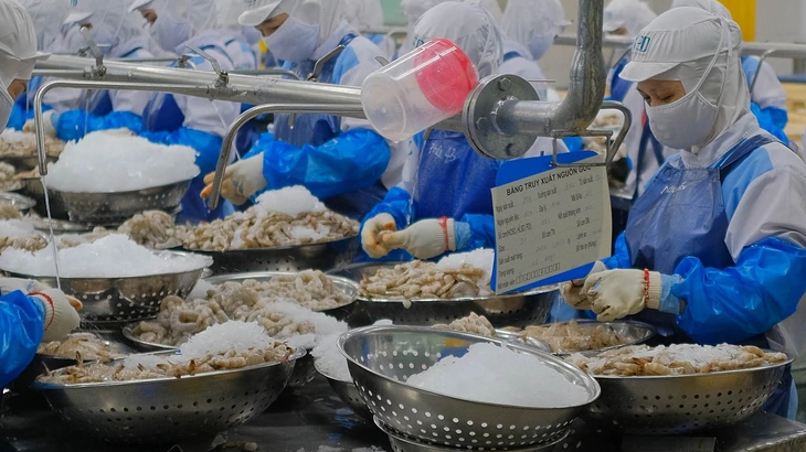 Mỹ c&ocirc;ng bố mức &aacute;p thuế chống b&aacute;n ph&aacute; gi&aacute; đối với t&ocirc;m Việt Nam 