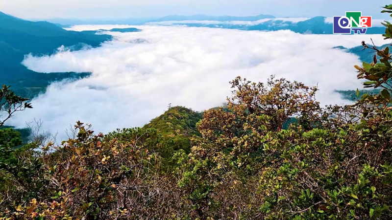 Điểm hẹn trekking mới giữa đại ng&agrave;n Quảng Ng&atilde;i