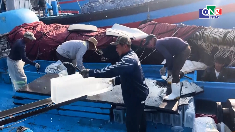 Ngư d&acirc;n Quảng Ng&atilde;i vươn khơi sau Tết