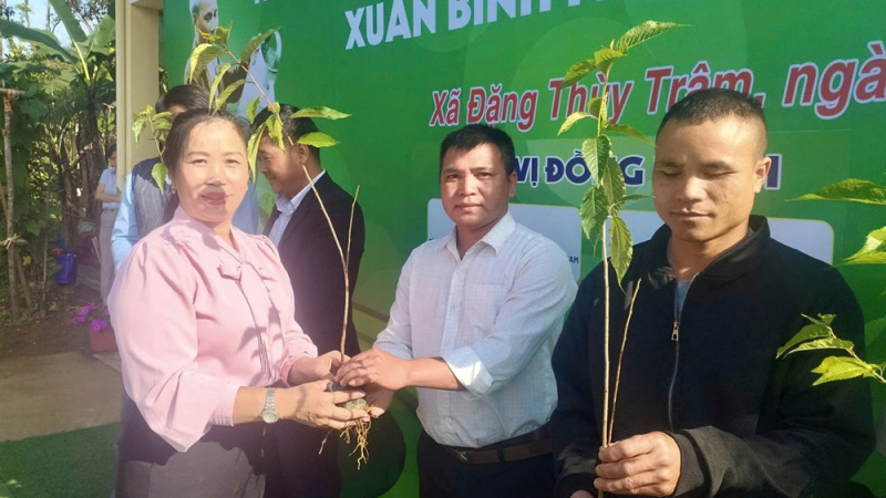 Gieo mầm xanh tr&ecirc;n thảo nguy&ecirc;n B&ugrave;i Hui