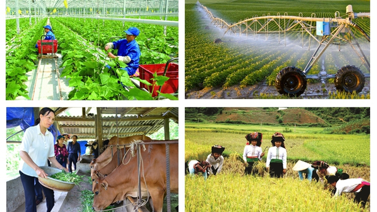 Đề xuất n&acirc;ng mức hỗ trợ bảo hiểm n&ocirc;ng nghiệp 