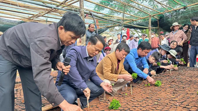 300 người tham gia đ&oacute;ng bầu c&agrave; ph&ecirc; giống cấp cho đồng b&agrave;o Xơ Đăng