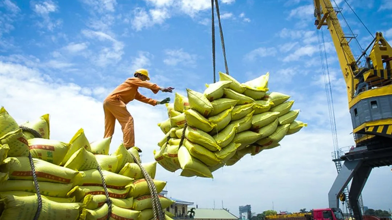 Giữ vững nhịp xuất khẩu gạo bằng chiến lược chất lượng cao