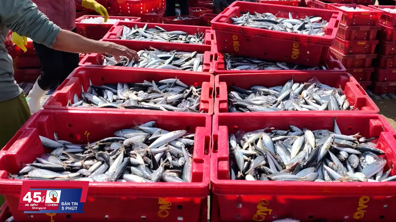 45 gi&acirc;y 1 chạm ng&agrave;y 26/02