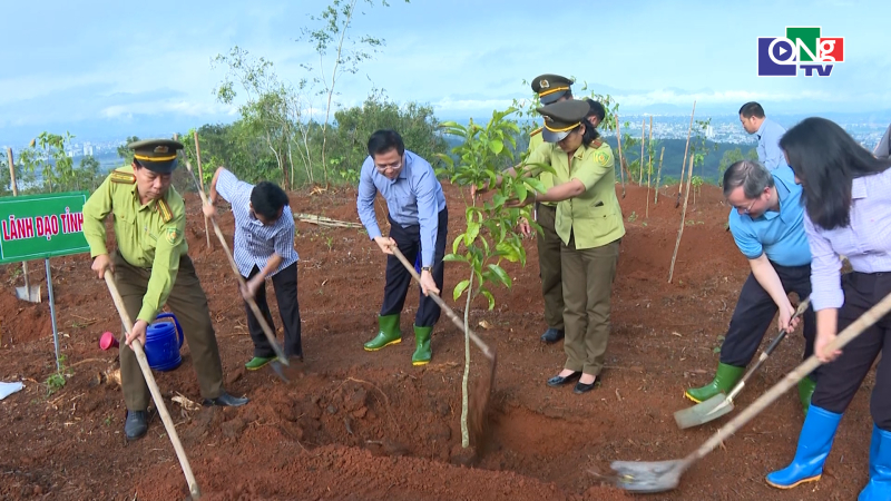 Chủ tịch UBND tỉnh dự Tết trồng c&acirc;y tại Phường Trương Quang Trọng
