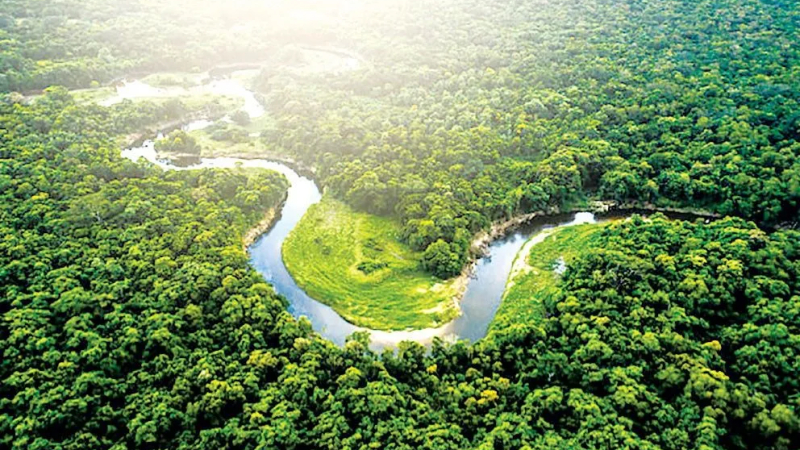 Cấp m&atilde; trong nước cho hạn ngạch ph&aacute;t thải v&agrave; t&iacute;n chỉ carbon