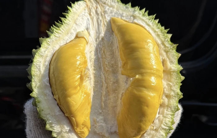 Sầu riêng Musang King đang được bán nội địa nhiều bởi phù hợp thị hiếu tiêu dùng