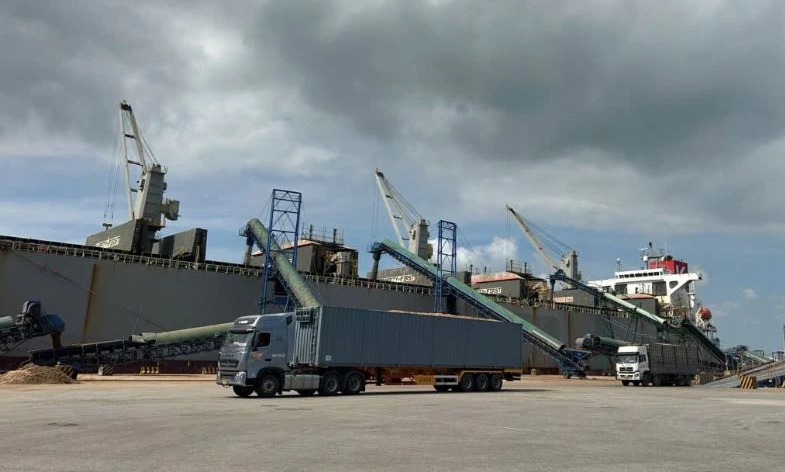 Cơ sở hạ tầng tại các cảng biển trong tỉnh ngày càng hoàn thiện, đáp ứng hiệu quả hoạt động xuất nhập khẩu. Ảnh: Báo Quảng Ngãi