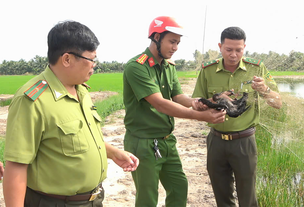 Lực lượng chức năng ra quân tháo gỡ bẫy chim di cư.