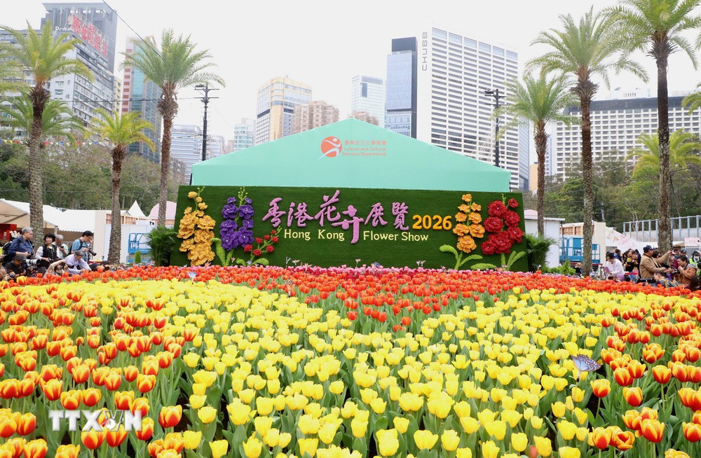 Biểu tượng của Triển lãm hoa Hong Kong 2026. Ảnh: Xuân Vịnh/TTXVN tại Hong Kong