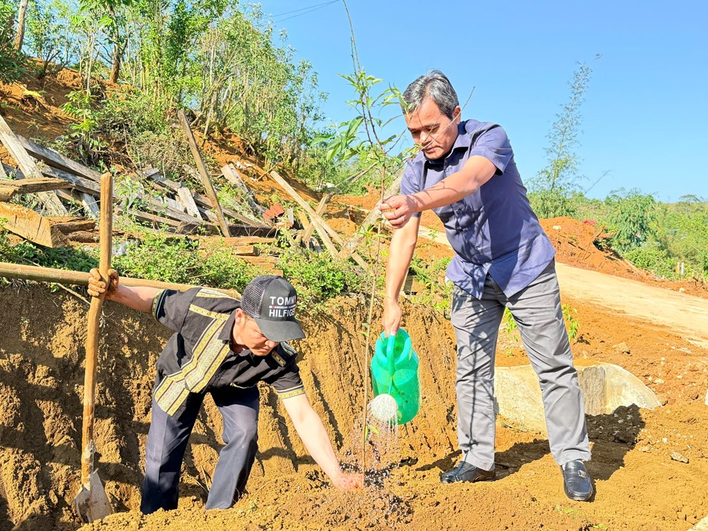 Bí thư Tỉnh ủy Hồ Văn Niên cùng người dân thôn Vi Rơ Ngheo trồng hoa mai anh đào.