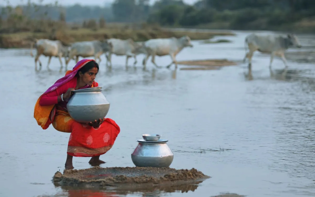 Ảnh minh họa: Getty Images