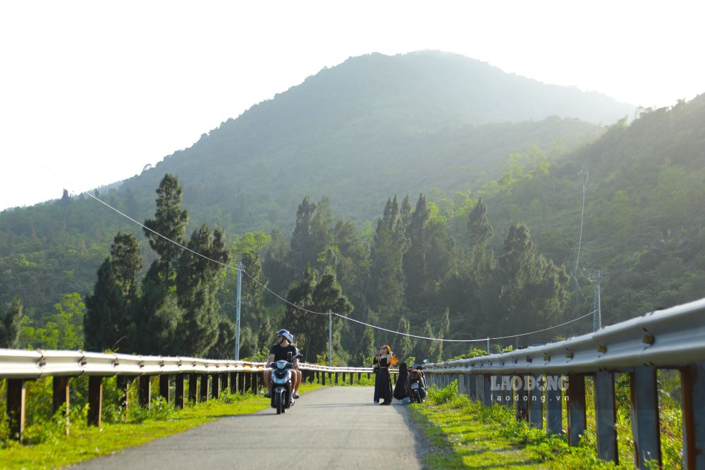 Điểm nhấn của cung đường là hai hàng thông xanh, tạo khung cảnh thơ mộng thu hút du khách thích trải nghiệm, khám phá. Ảnh: Thanh Huyền