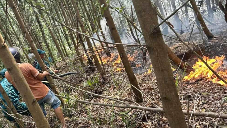 Thời tiết nắng nóng gay gắt, đề phòng nguy cơ cháy rừng. Ảnh: T.L