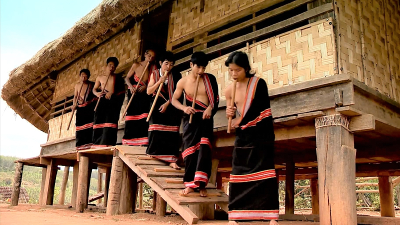 Đinh t&uacute;t gọi xu&acirc;n 