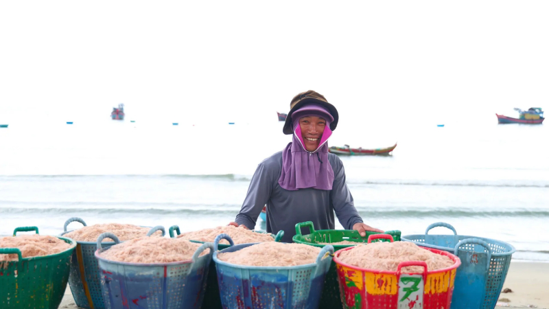  Đầu vụ, ruốc tươi gi&aacute; 30-50 ng&agrave;n đồng/kg 