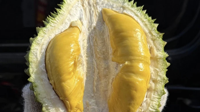 Gi&aacute; sầu ri&ecirc;ng Musang King rẻ đến bất ngờ