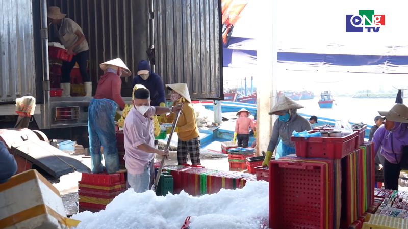 Hơn 2.800 thủy sản khai th&aacute;c bốc dỡ qua cảng trong 2 th&aacute;ng đầu năm