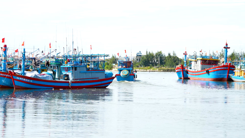 Quảng Ng&atilde;i chuẩn bị c&aacute;c điều kiện đ&oacute;n đo&agrave;n thanh tra của EC