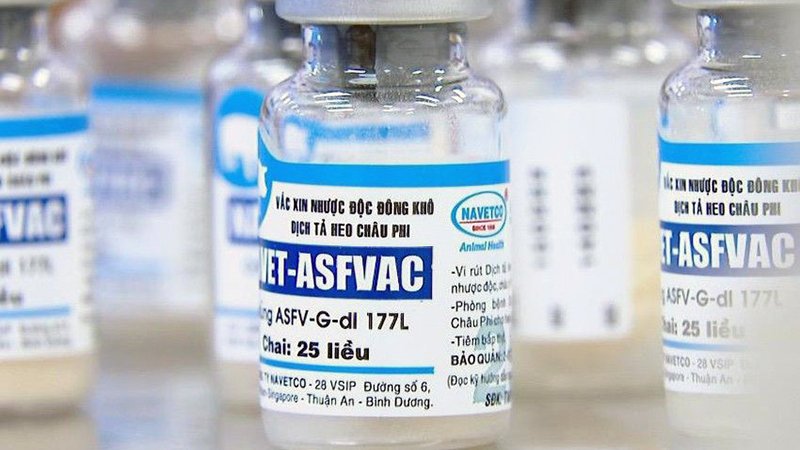 Vaccine DTLCP của Việt Nam bảo hộ được virus biến chủng 