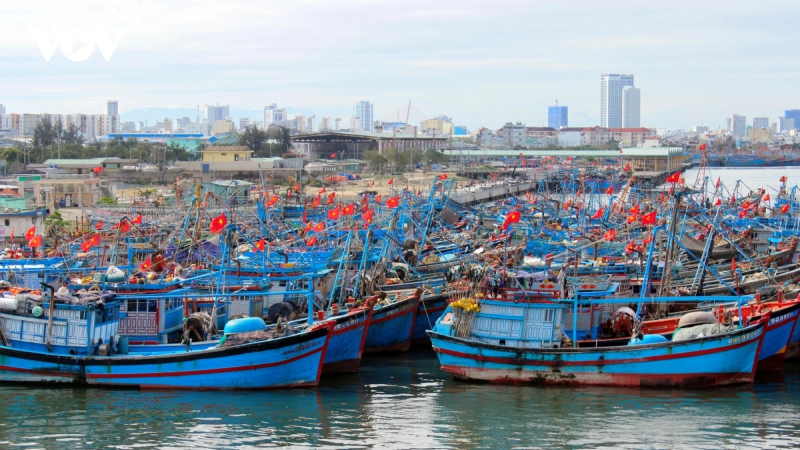 Ngư d&acirc;n Quảng Ng&atilde;i gặp kh&oacute; v&igrave; gi&aacute; dầu tăng cao 