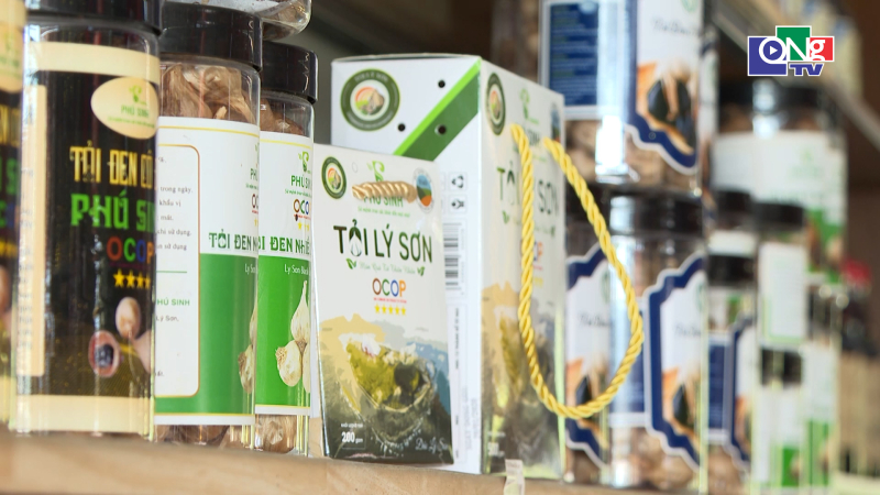 Tỏi L&yacute; Sơn OCOP 5 sao &ndash; Gi&aacute; trị từ chất lượng v&agrave; thương hiệu 