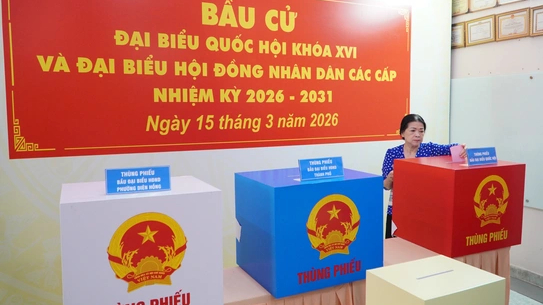 Trường hợp n&agrave;o cử tri được nhờ người viết hộ phiếu, bỏ hộ phiếu bầu cử?