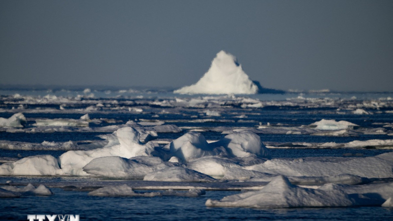 Băng biển Bắc Cực chạm ngưỡng thấp nhất trong 40 năm