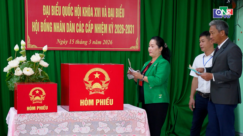 Ph&oacute; B&iacute; thư Tỉnh ủy Đinh Thị Hồng Minh kiểm tra c&ocirc;ng t&aacute;c bầu cử tại Minh Long