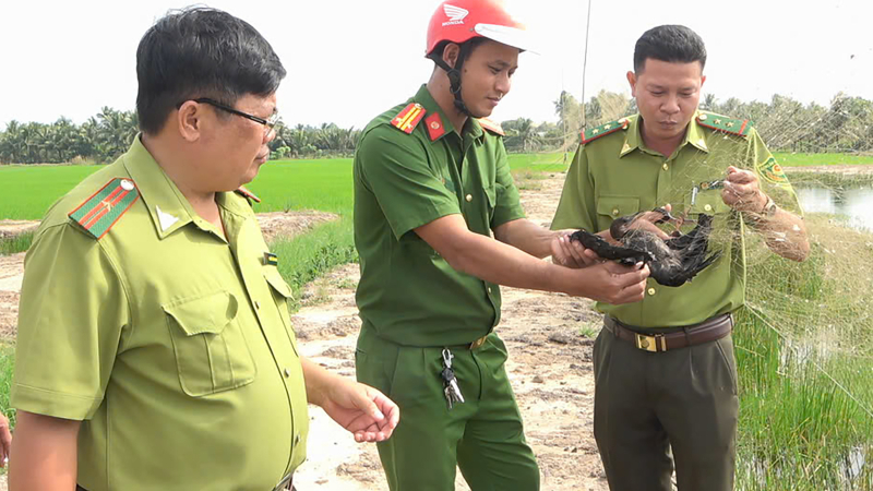 Xử l&yacute; gần 1.800 vụ vi phạm li&ecirc;n quan động vật hoang d&atilde; v&agrave; thủy sản