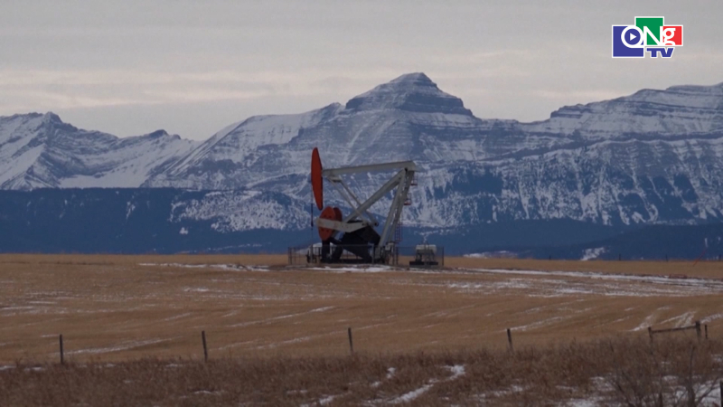 Gi&aacute; dầu thế giới tiếp tục tăng